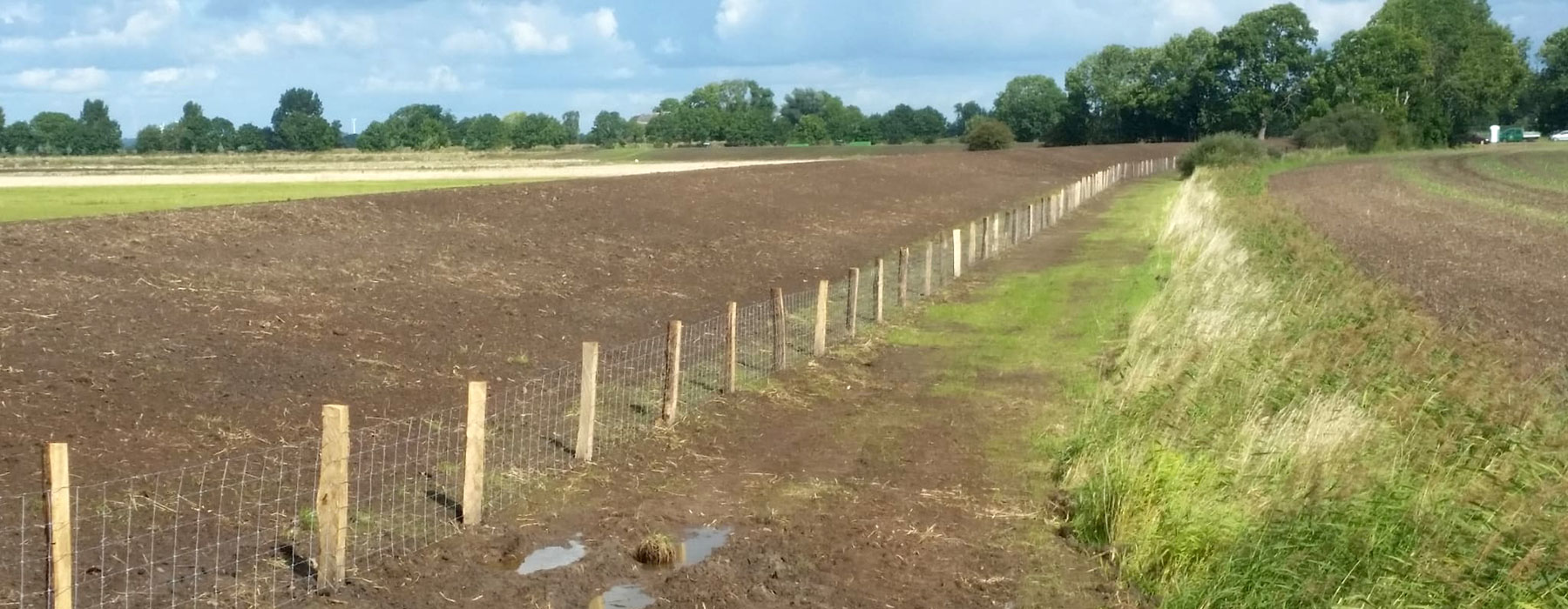 Zaunbau - Schafzaun mit Eichenspaltpfählen und englisches Knotengeflecht