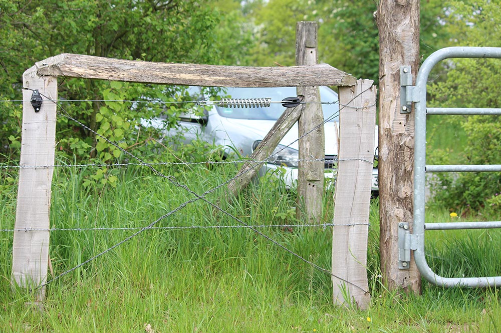 Weidezaunbau mit Robinienpfahl