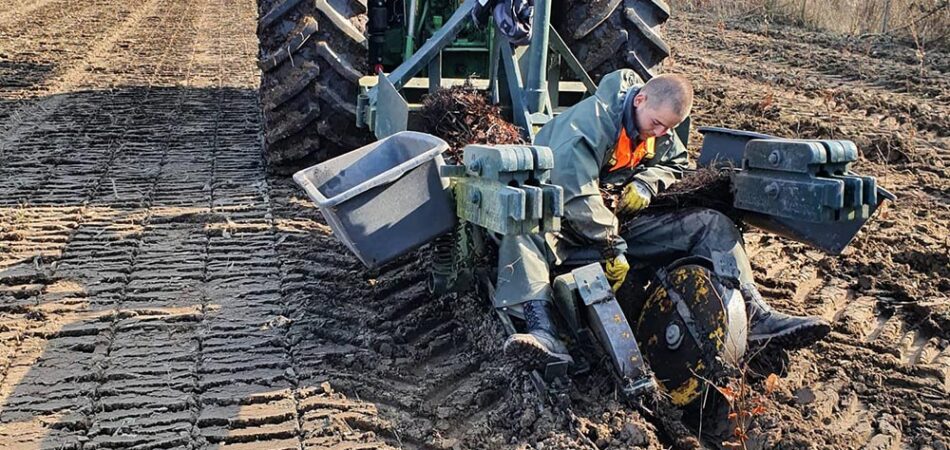 Pflanzarbeiten mit Pflanzmaschine in der Landschaftspflege