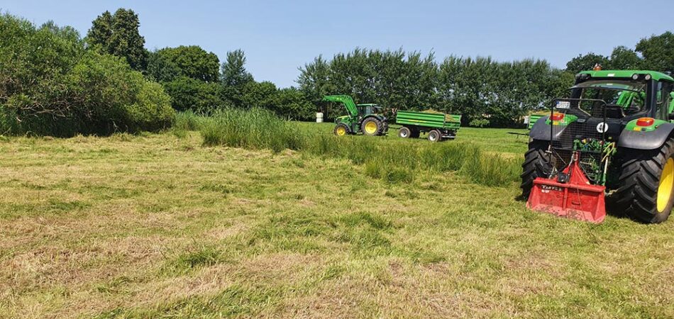 Landschaftspflege - Mäharbeiten