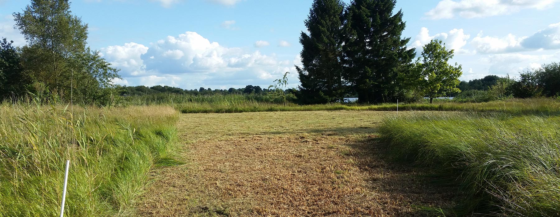 Landschaftspflege - Mäharbeiten