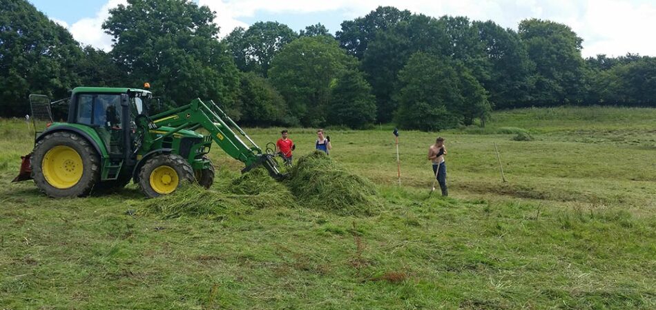 Landschaftspflege Mäharbeiten im Niedermoor