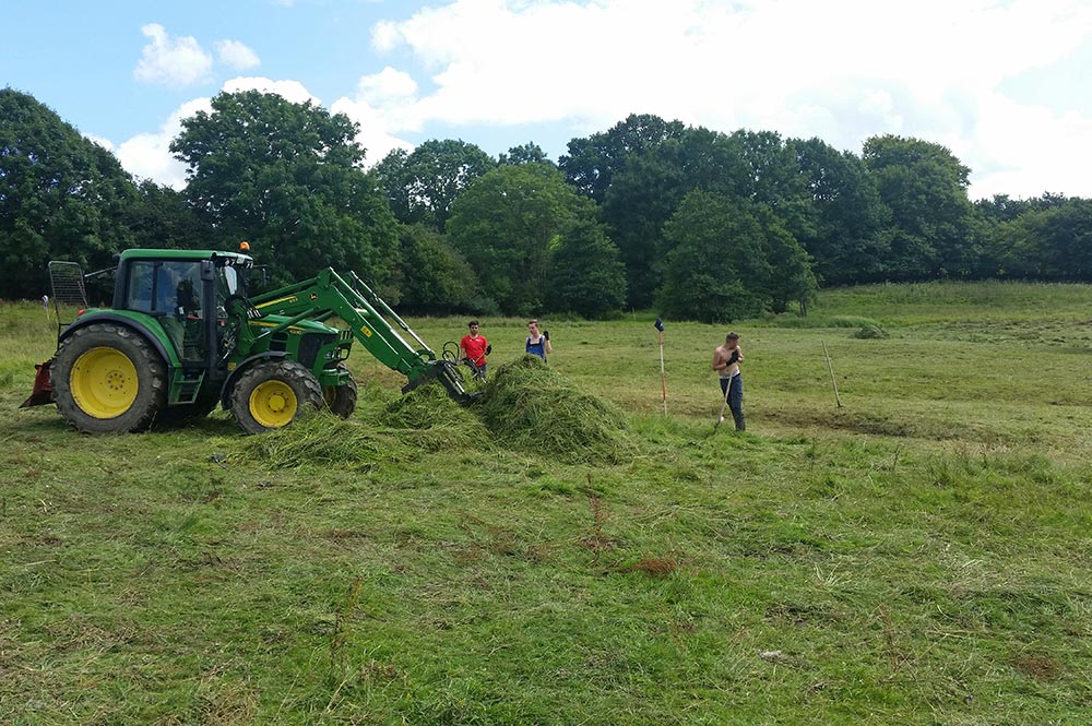 Landschaftspflege Mäharbeiten im Niedermoor
