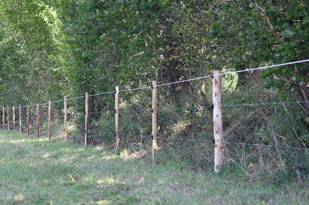 Pferdezaun-Bau - Weidezaun mit Strom für Pferde
