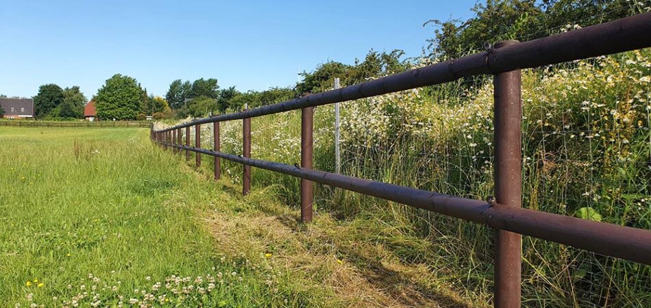 Weidezäune für Pferde