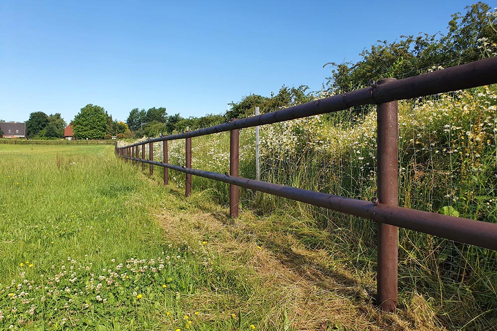 Weidezäune für Pferde