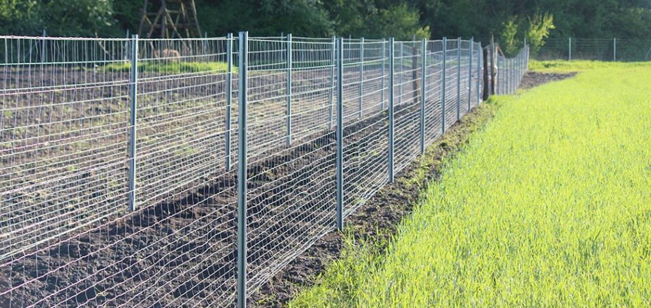 Zaunbau Wildschutzzaun