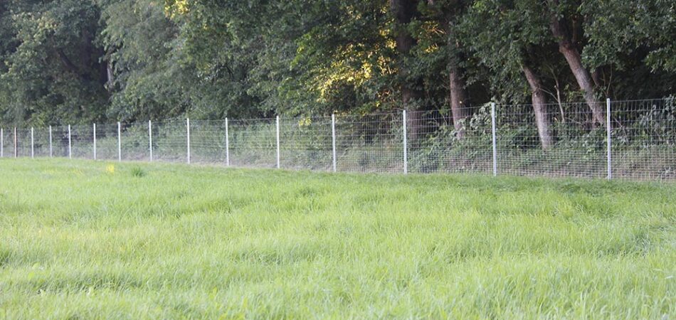 Zaunbau Wildschutzzäune in allen Größen und Längen