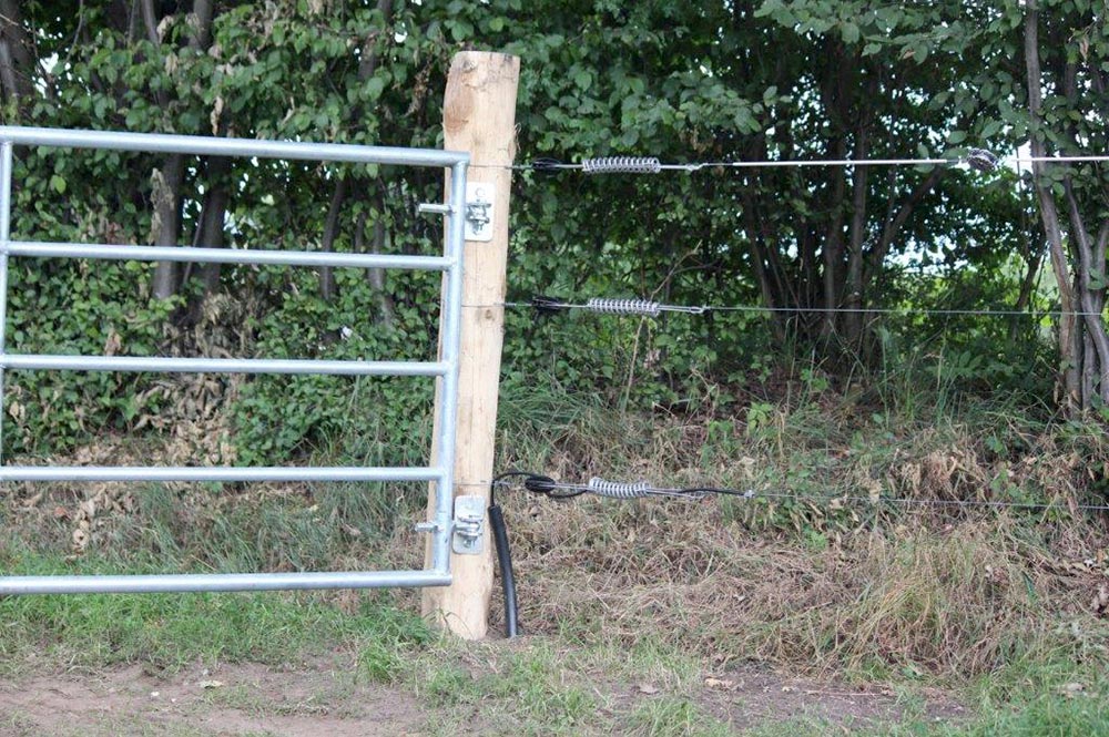 Weidezaun mit Stromunterführung - Kempe Zaunbau Rendsburg